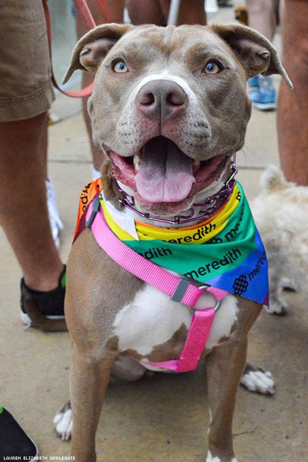 37-des-moines-pride-2018