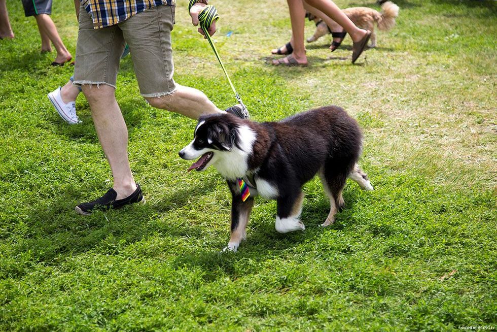 40-twin-cities-pride-gwyneth-brinkley-2018