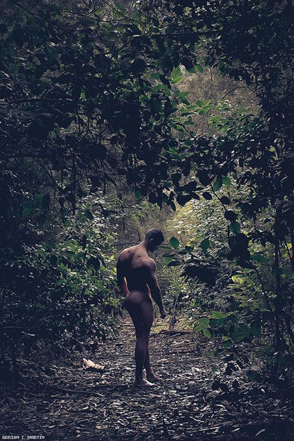 41-adrian-c-martin-2017