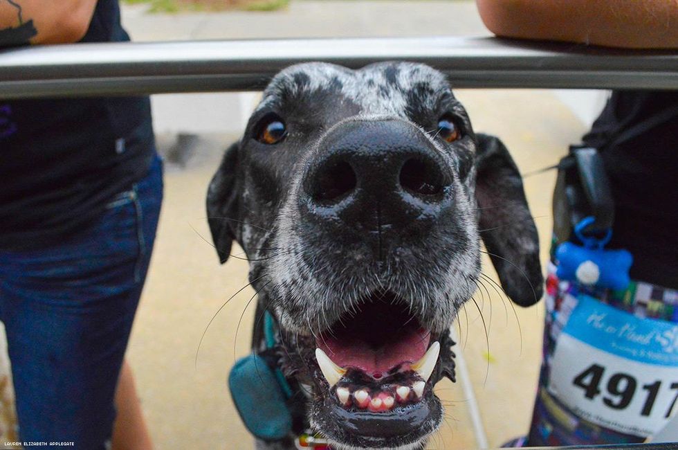 41-des-moines-pride-2018