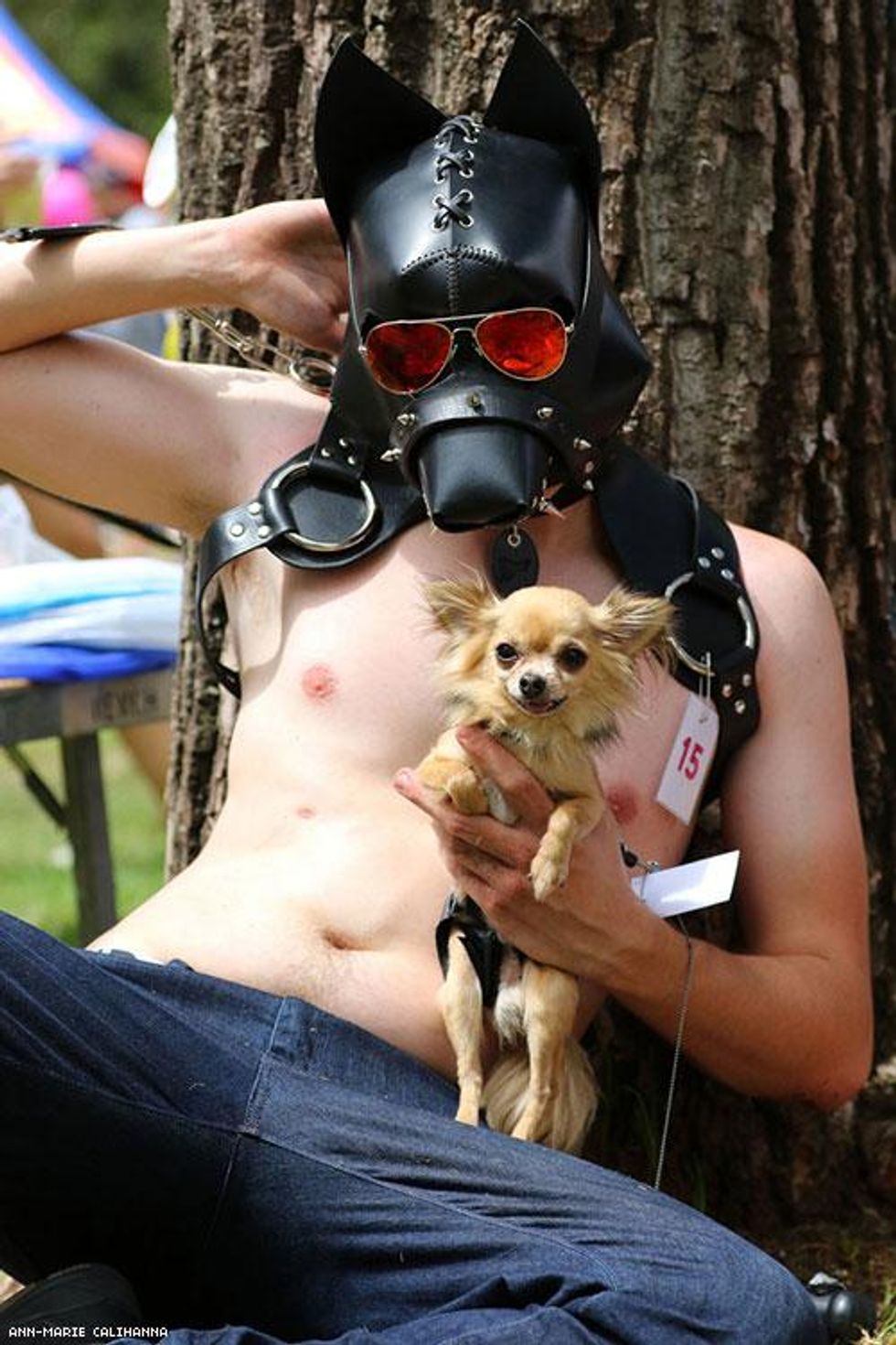 44-mardi-gras-pool-fair-australia