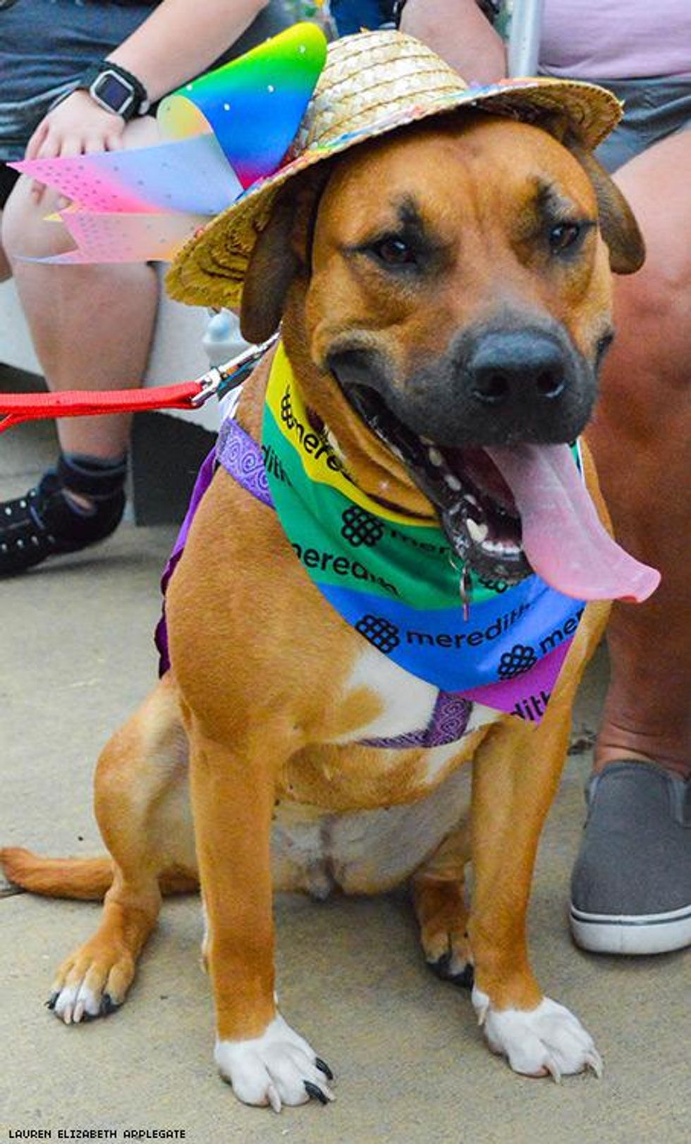 55-des-moines-pride-2018