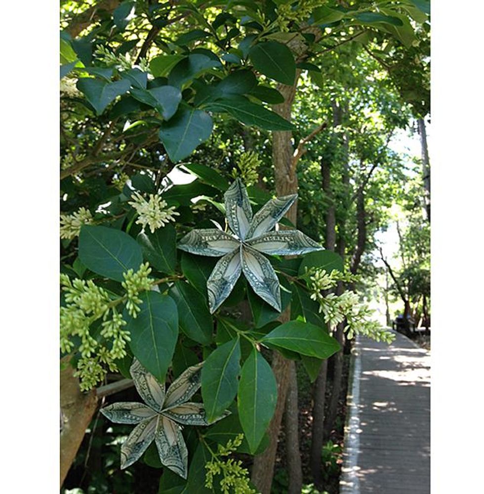 6-economic-growthx633_0