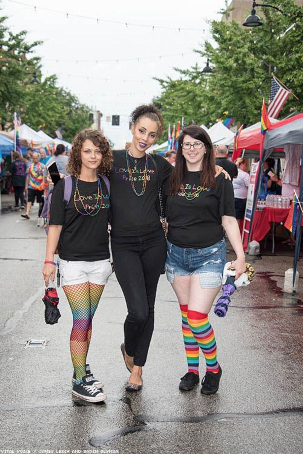 61 Photos Boast a Decade of Pride for Metro East Illinois