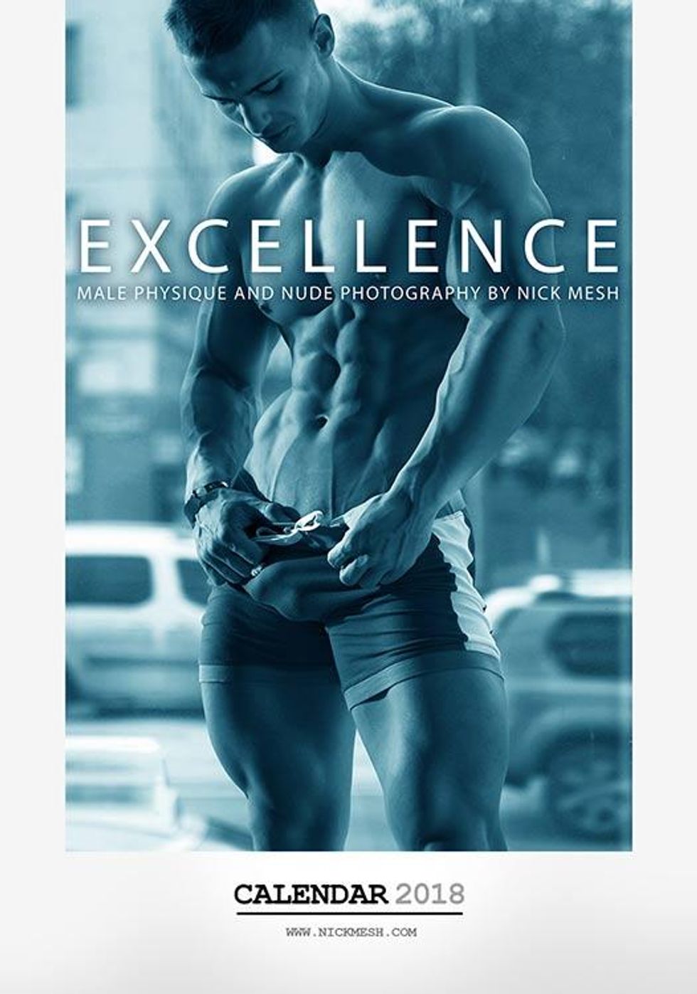 64-nick-mesh-calendars-2017