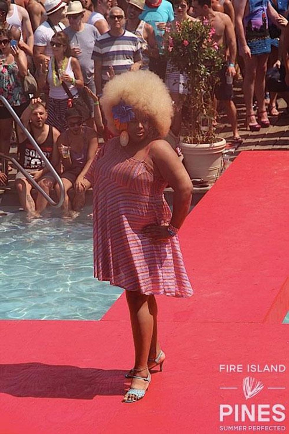 65-invasion-pines-history-2018