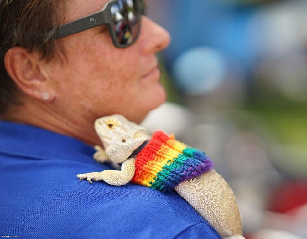 80-mardi-gras-pool-fair-australia
