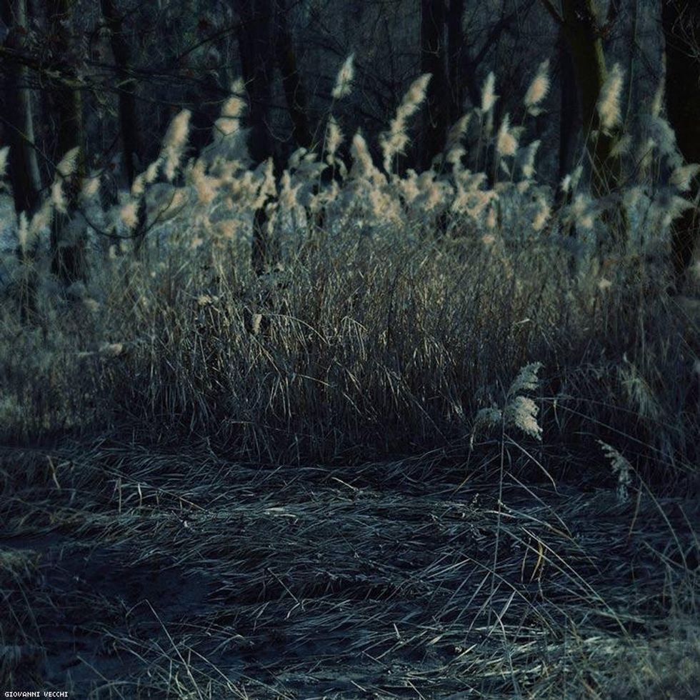 88-giovanni-vecchi-2017