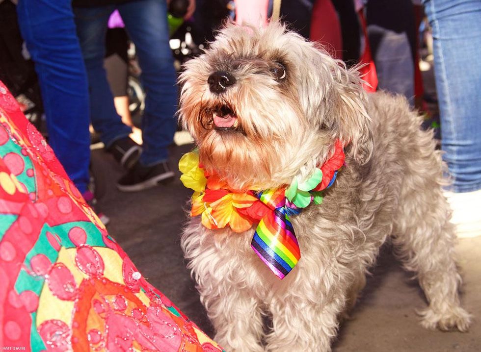 99-reykjavik-pride-matt-baume