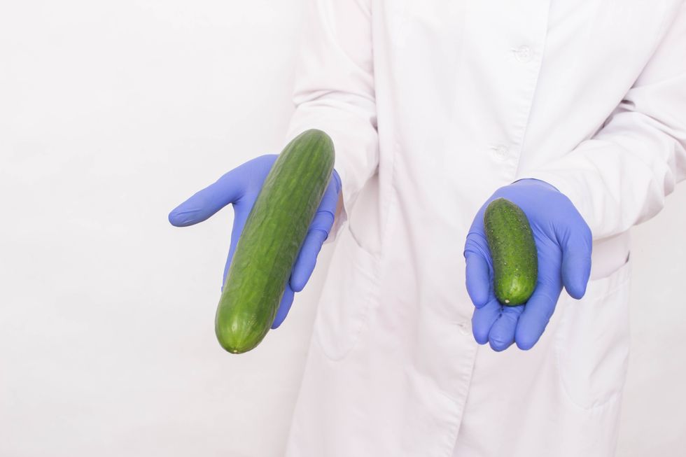 A doctor in medical gloves holds two different sized cucumbers. Concept of increasing penis in men, ligamentotomy