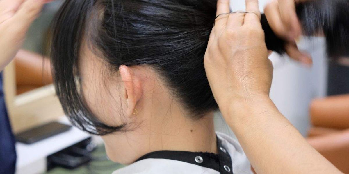 Michigan finds hair salon owner violated the law by directing trans people to pet groomers
