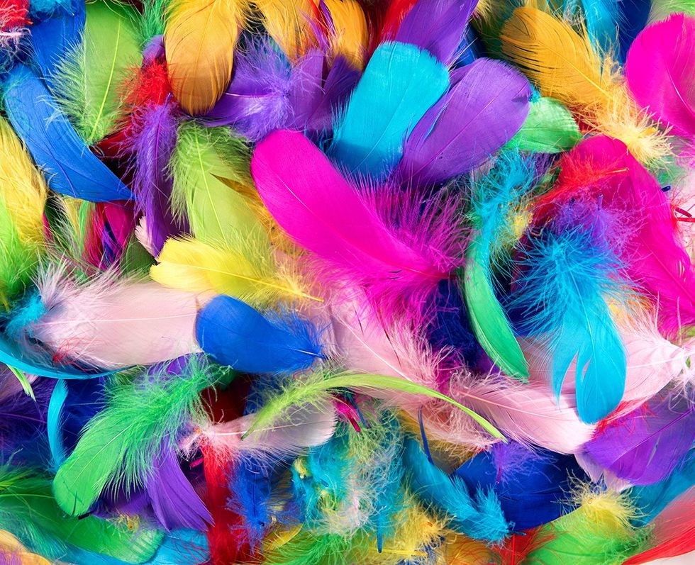 a pile of brightly colored feathers