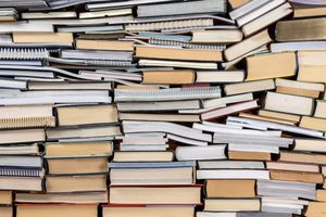 Public schools banned a record 12,000 books this year. Most were in Texas and Florida