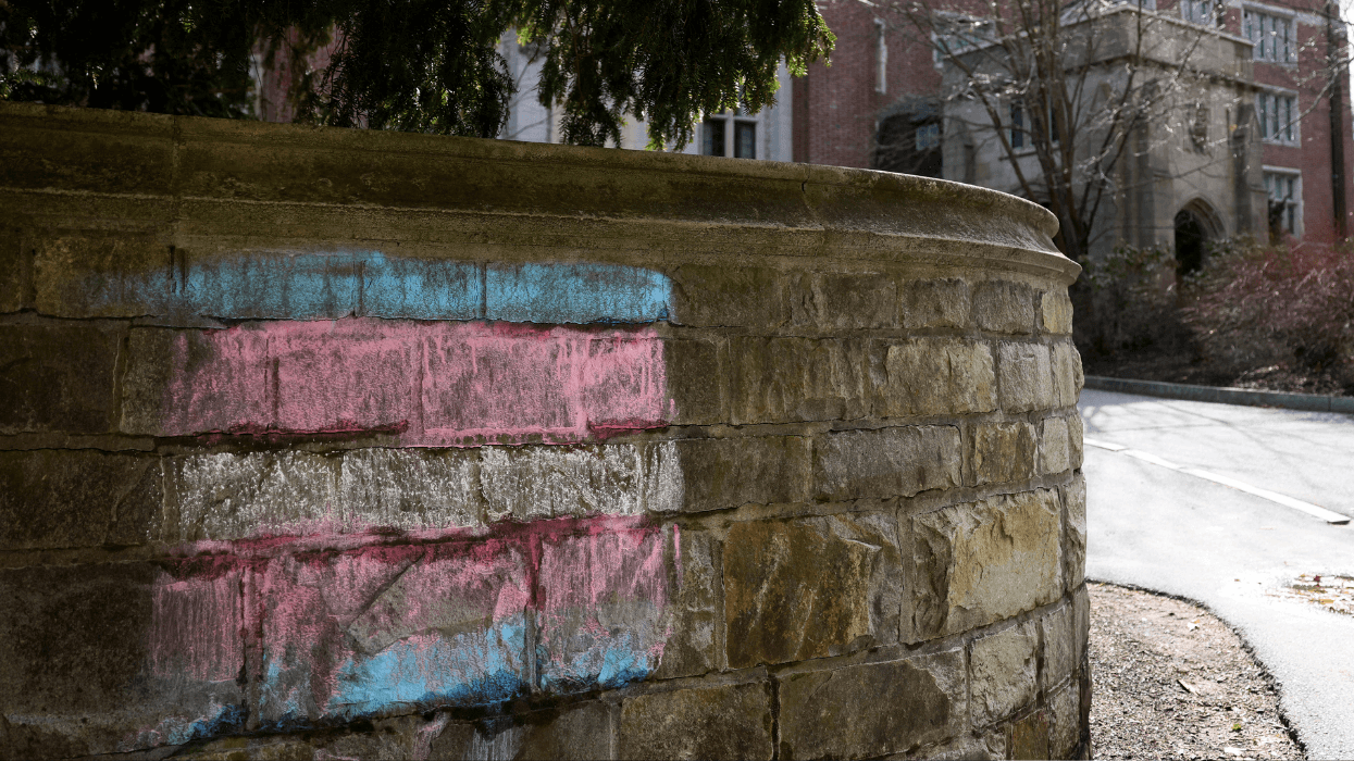 A trans flag is drawn in chalk on a wall at Wellesley College, located in Wellesley, Mass.