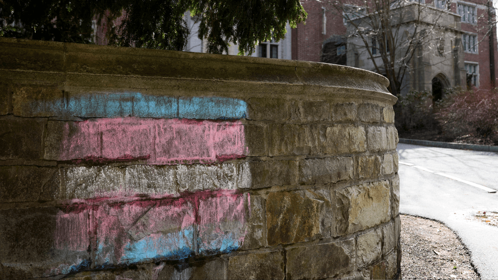 10 of the most queer-friendly colleges for students seeking a rural campus experience