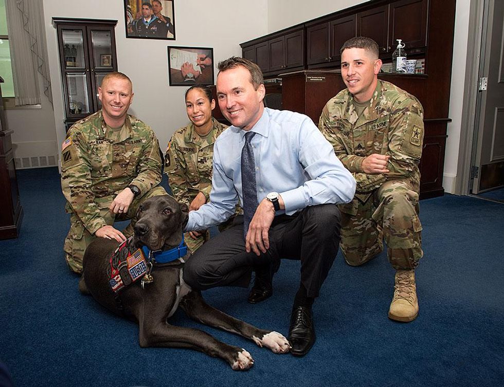 A wellness dog visit