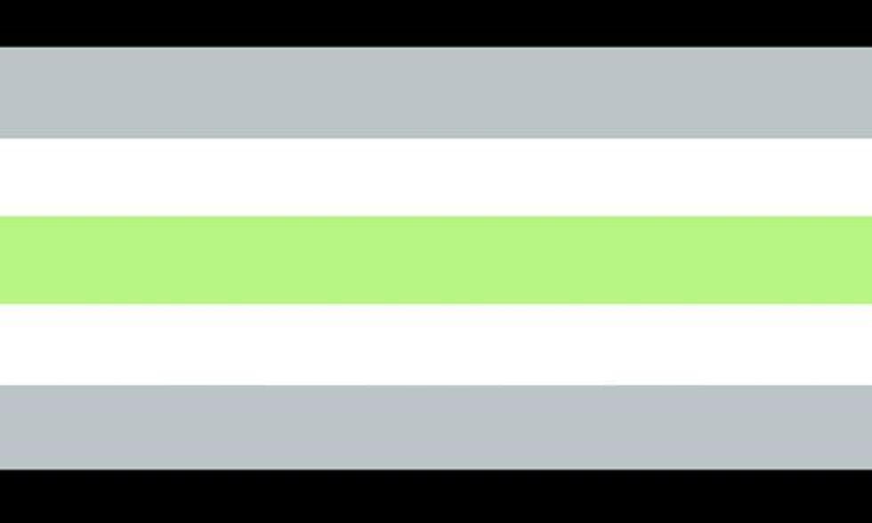 Agender Flag