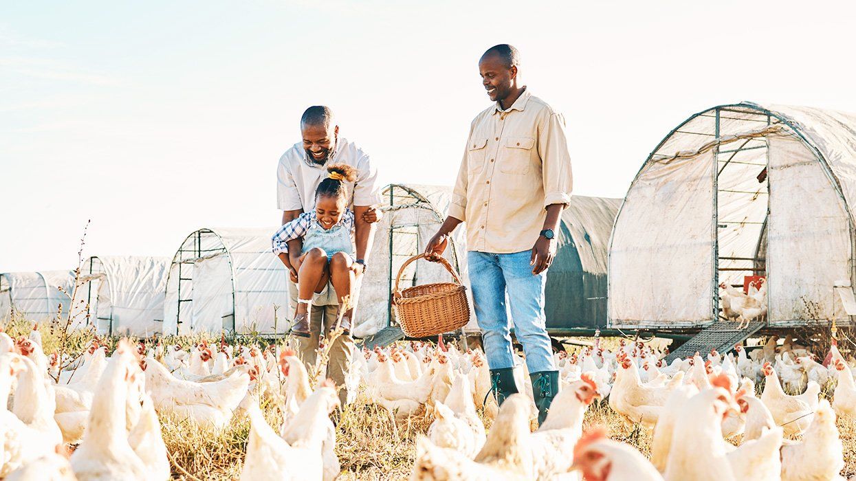 Agriculture, gay couple