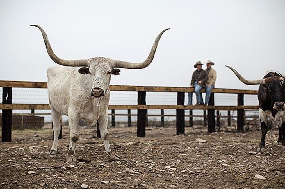 Alie_texas-6033x633_0