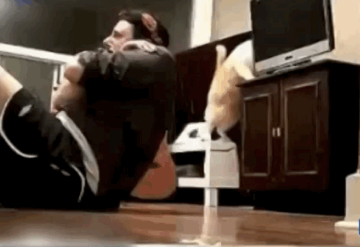 Anigif_enhanced-4782-1410192246-22_0