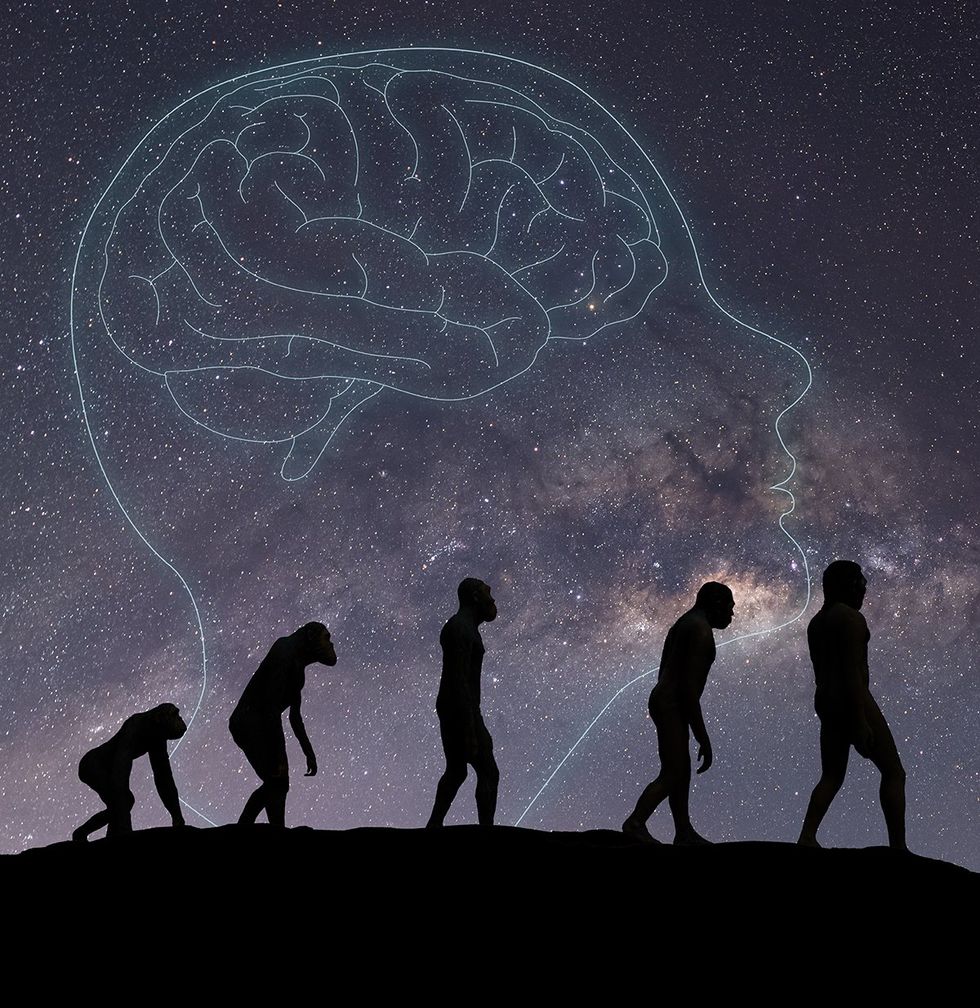 Anthropology illustration human evolution from monkeys against milky way background with head brain outline i n sky