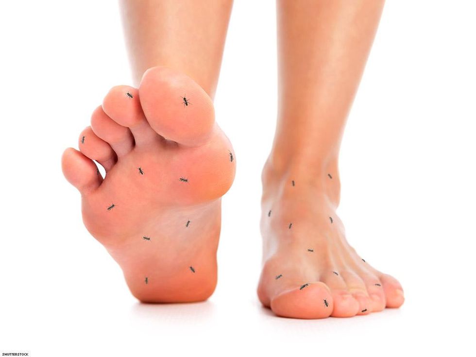 ants on feet