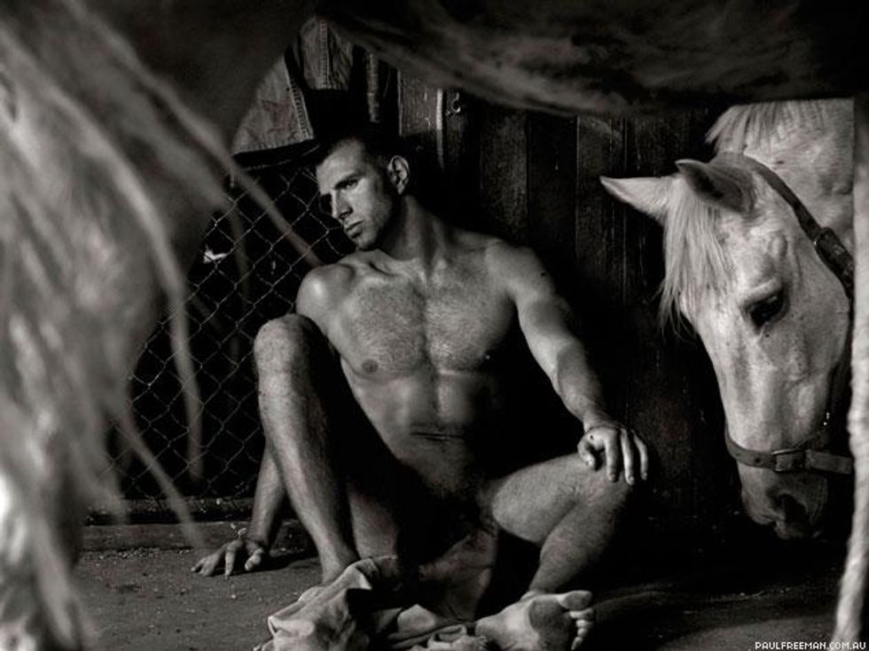 Apat2025bwahorseheadax633_0