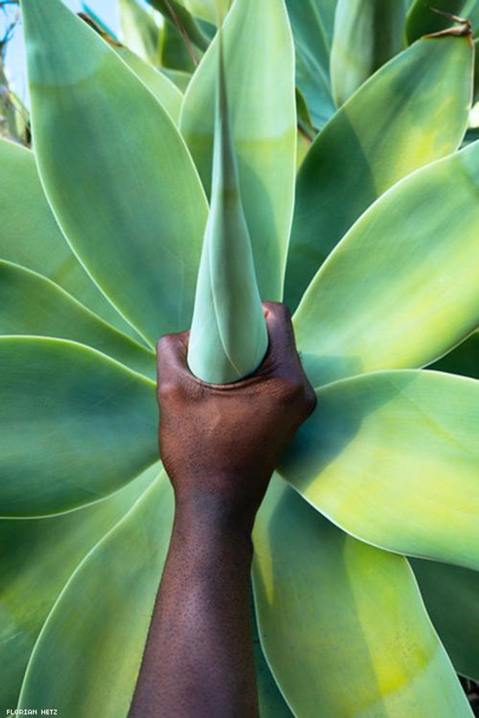 Artist residency at the Tom of Finland Foundation in Los Angeles, Florian Hetz, displays his work in Germany. Read about it below.