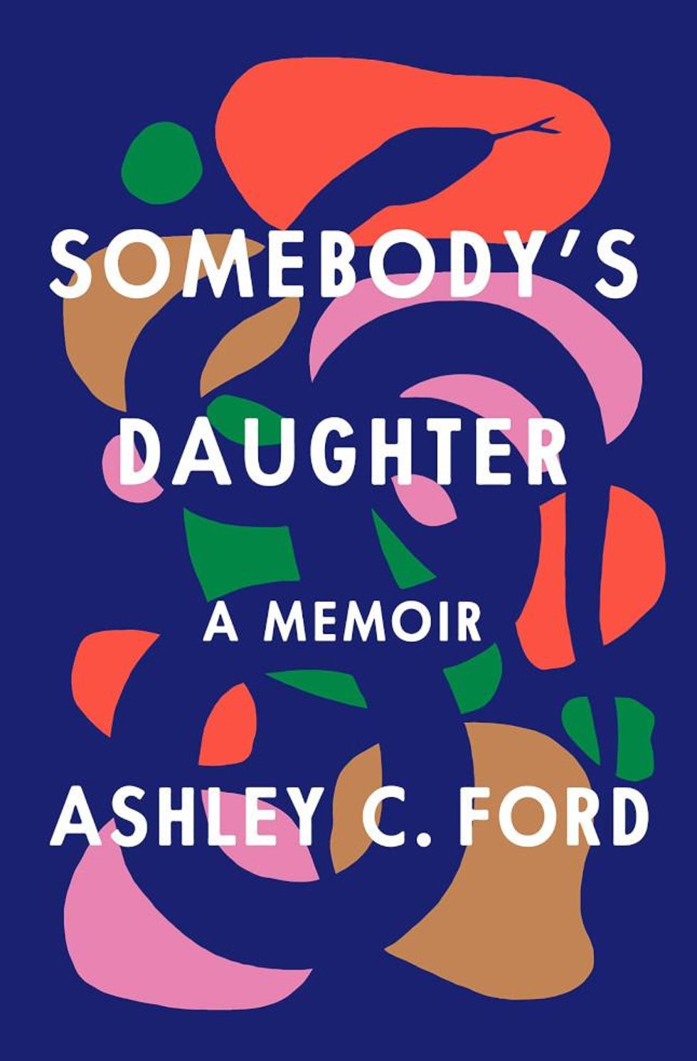 Ashley C Ford Somebody's Daughter