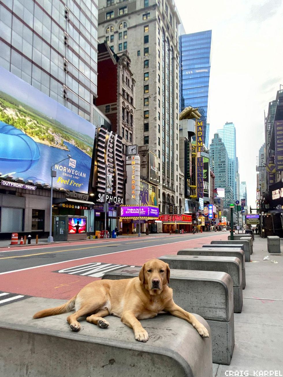 At "the avenue I'm taking you to, 42nd Street!"