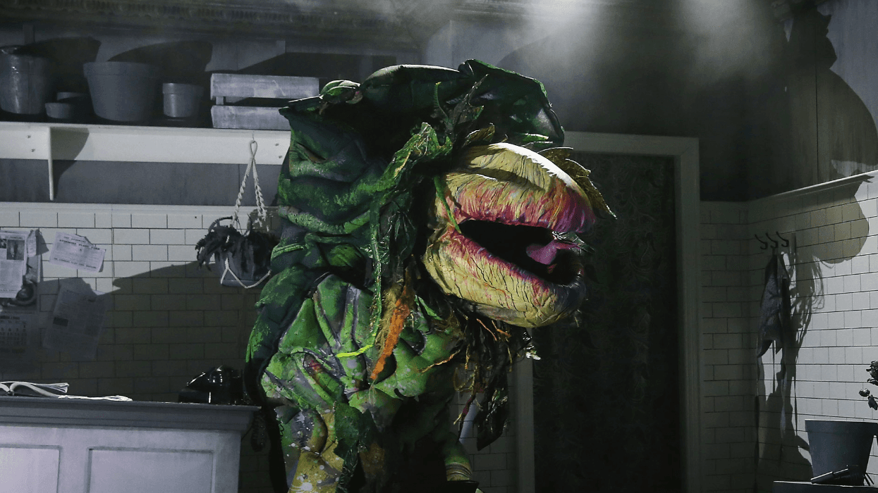 Audrey II the plant