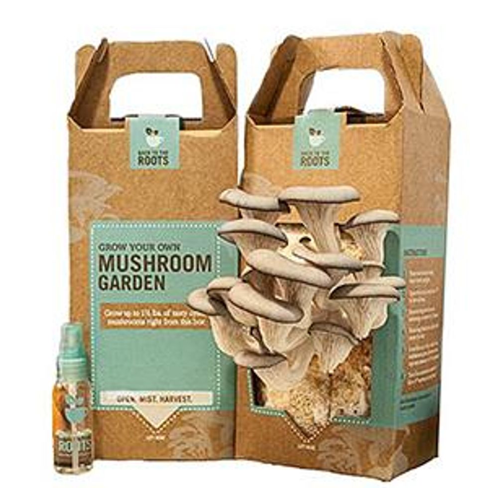 Back-to-the-roots-organic-mushroom-farm_0