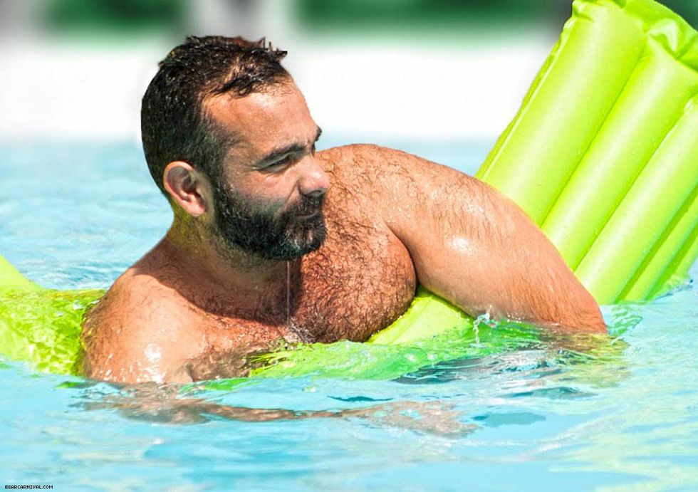 Bear Carnival: See link for photos below.