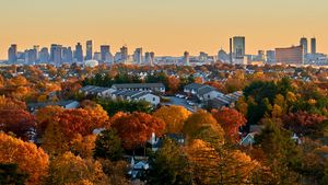 Boston police investigate attack on gay couple as possible hate crime after one man was hit with baseball bat