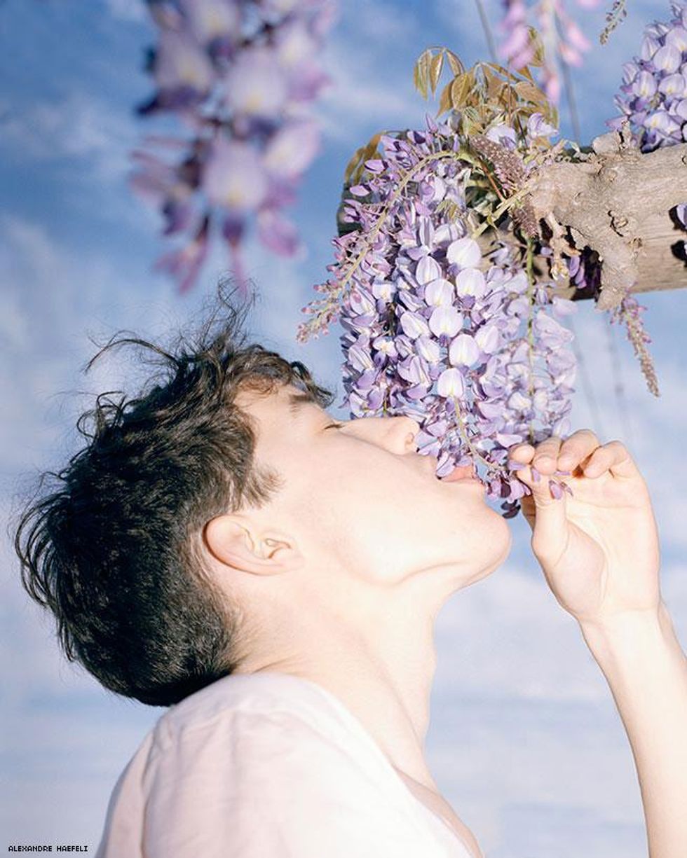 BOYS! BOYS! BOYS! Volume 5.