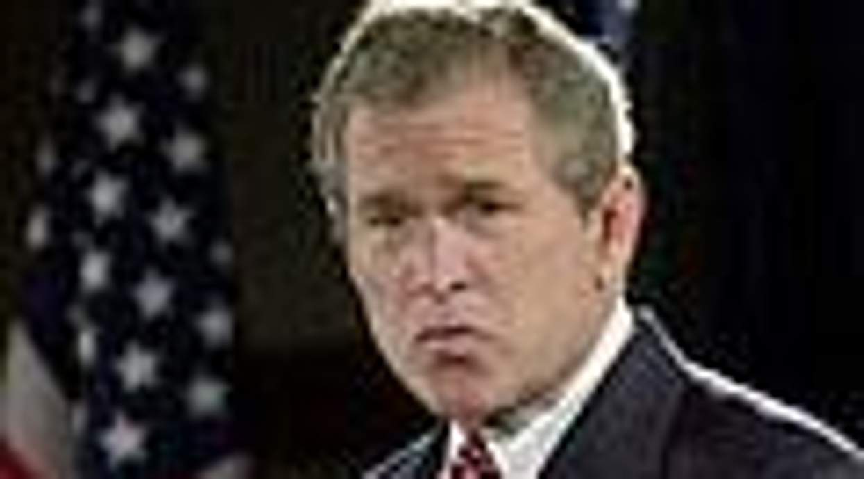 Bush03_6