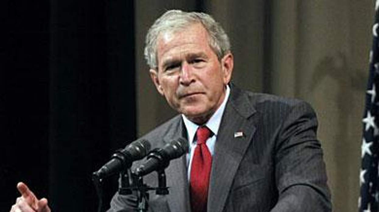 Bushx390_1