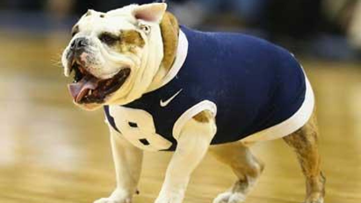Butlerbulldog