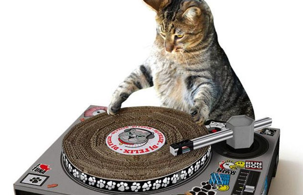 Catdj