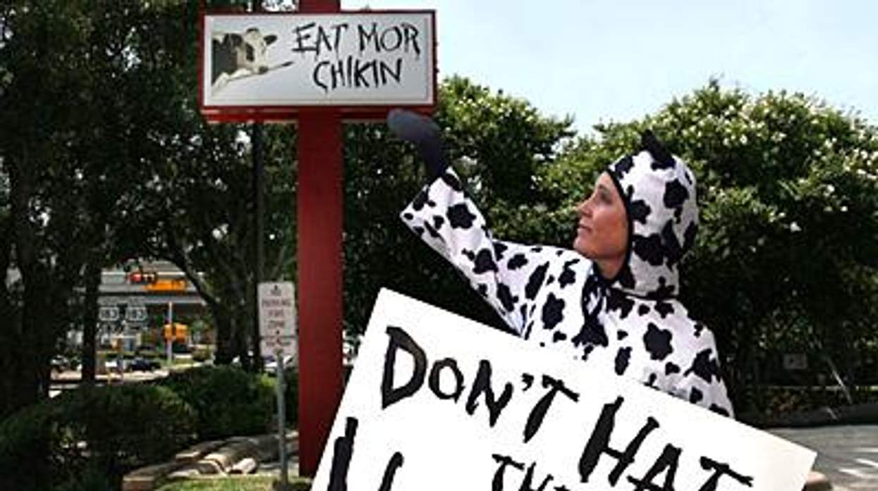 Chivkfila1_homoo02x400%5b1%5d