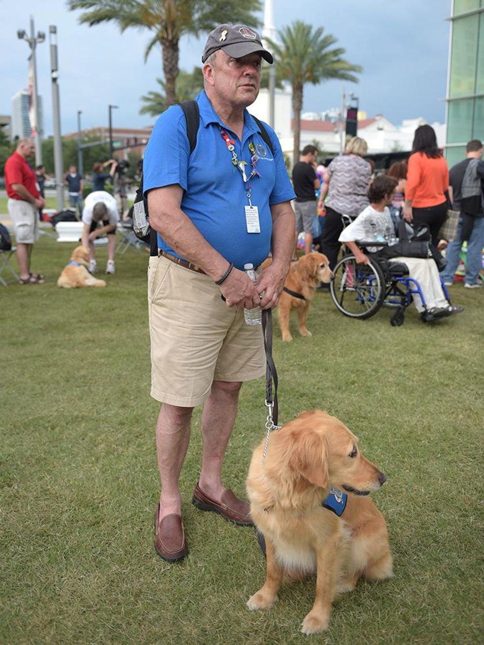 Comfort Dogs