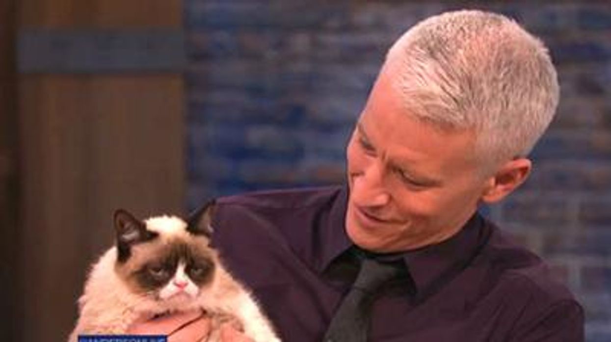 Cooper_grumpycat_400_0