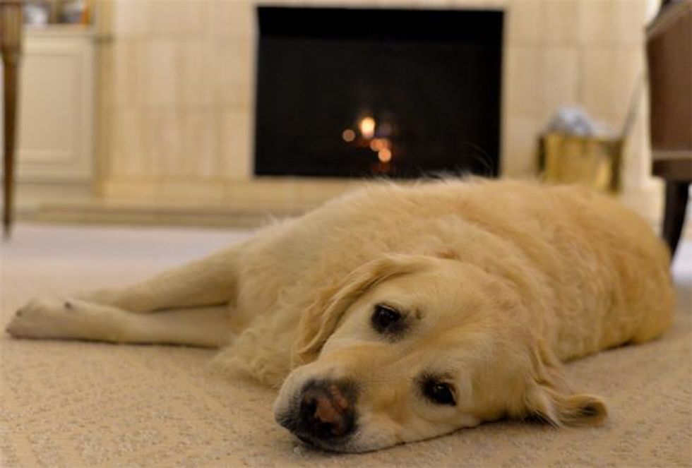 Danish Ambassador Rufus Gifford