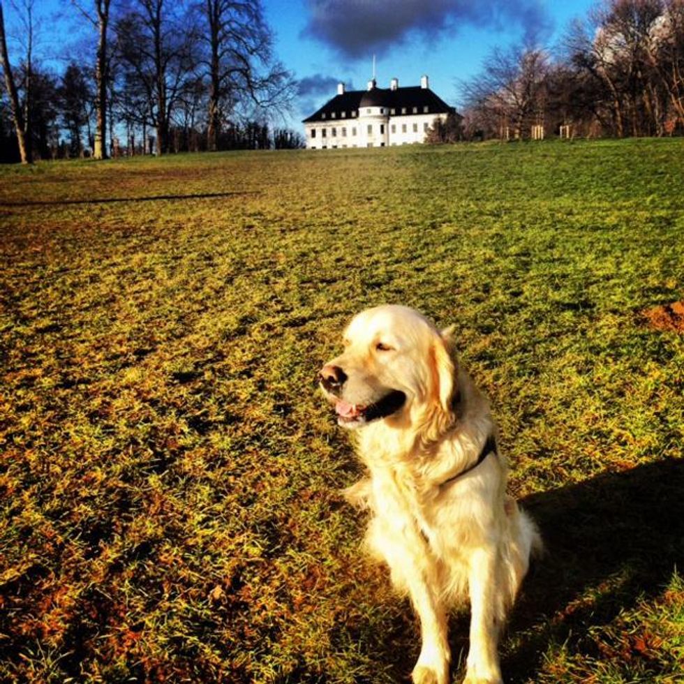 Danish Ambassador Rufus Gifford