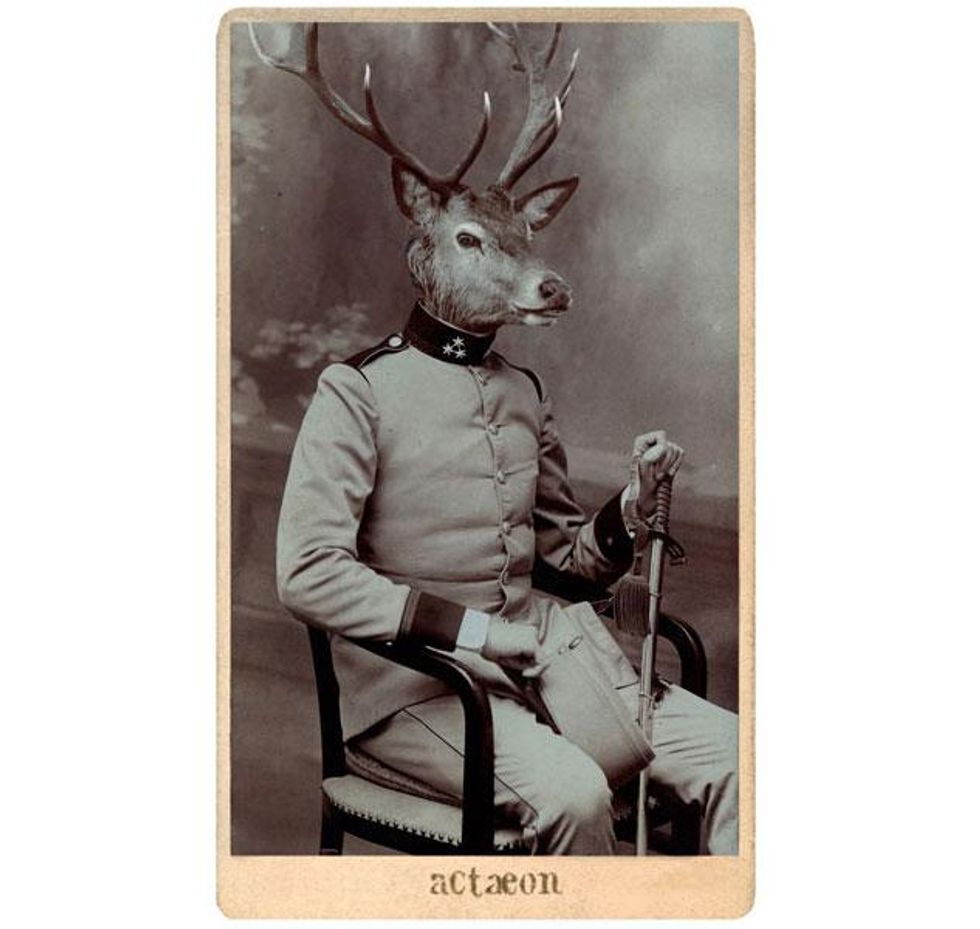 Davidtrullo_advocate11