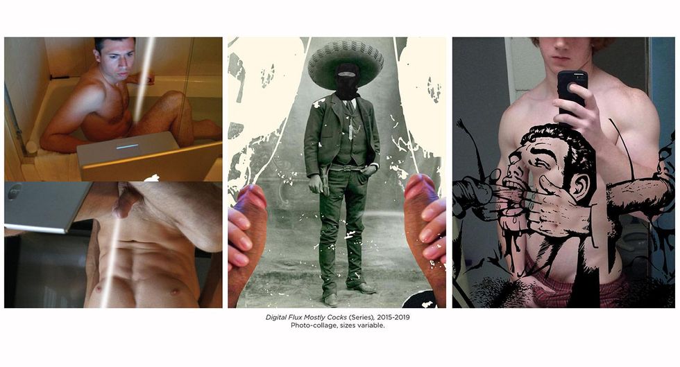 Digital Flux, Mostly Cocks, series, 2015-2019