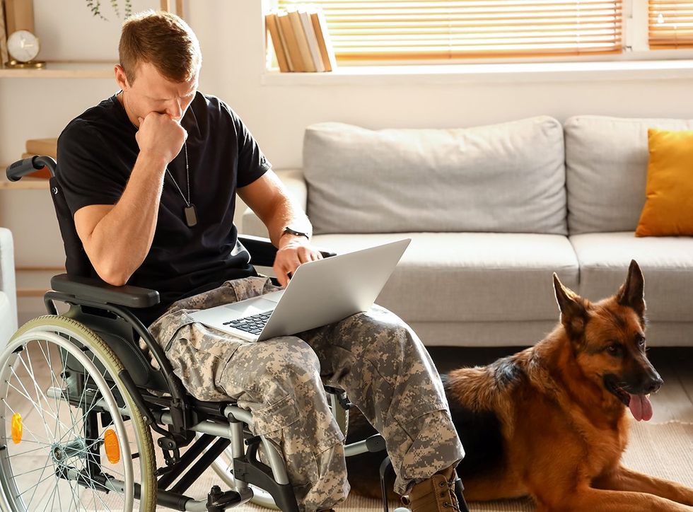 disabled veterans study findings report wheelchair user service dog