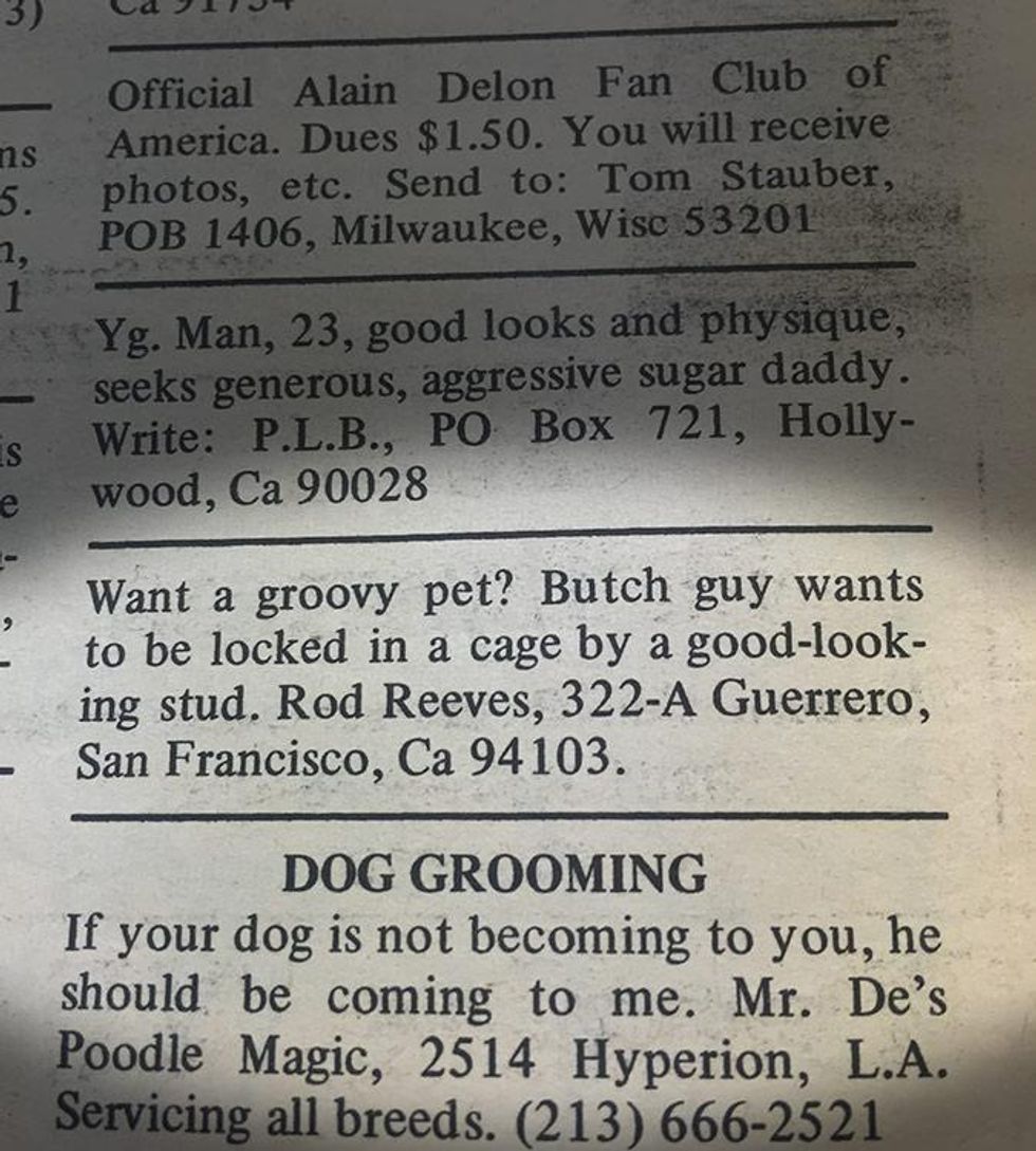 Dog grooming \u2014 does NOT accept groovy pets. October 1969