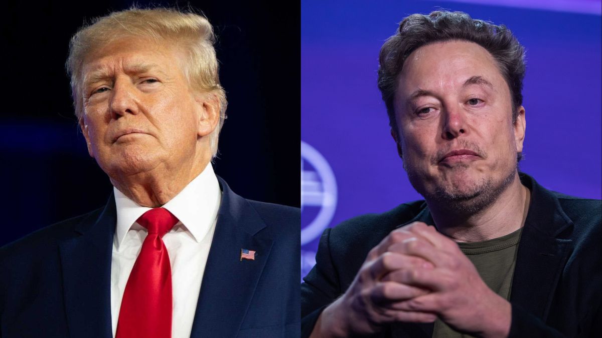 Donald Trump and Elon Musk