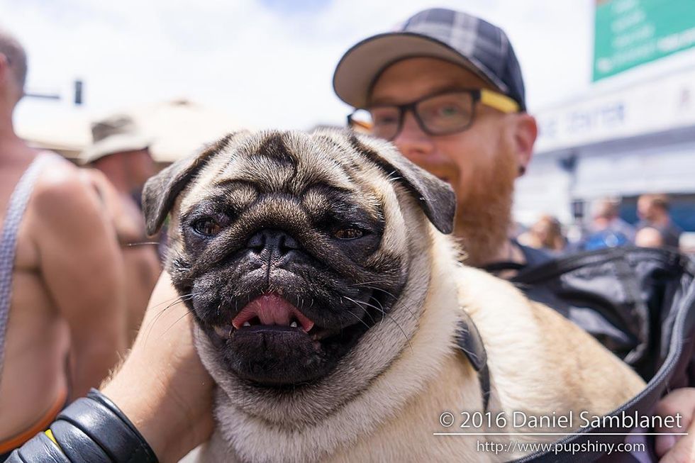 Dore-alley-photography-by-daniel-samblanet-20